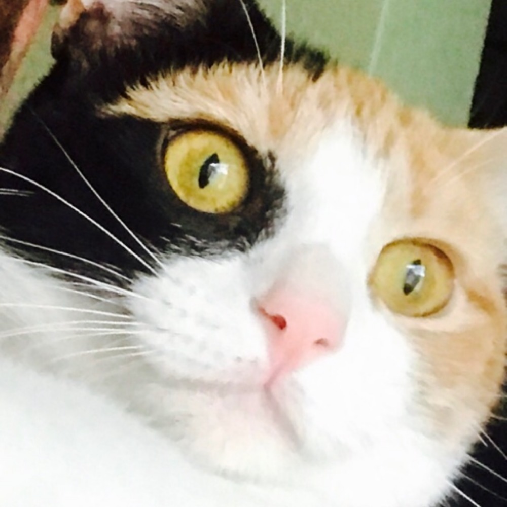 Meet your Posher, April